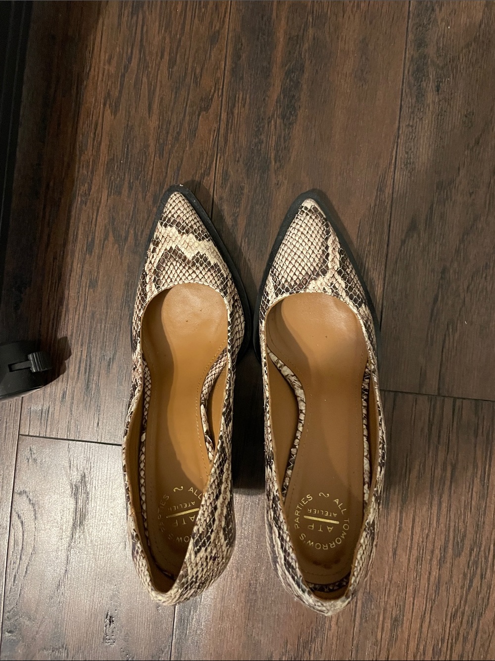 Pointed Toe Snake-Print Heels in Neutral